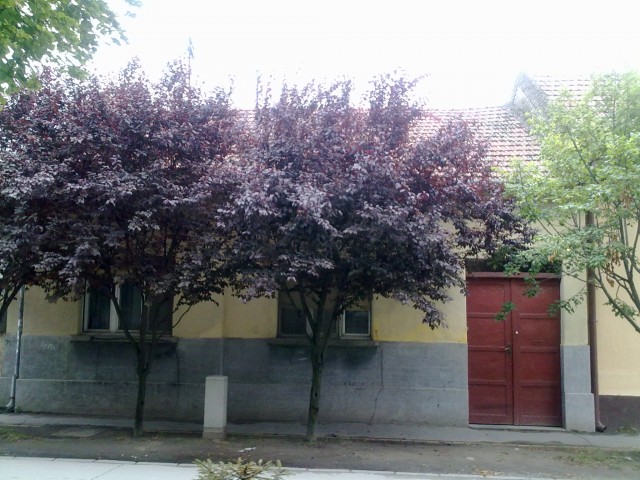 На продажу дом, Subotica, Subotica Područje