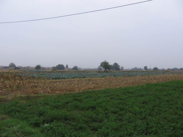 Prodajem Zemljište, Novo Sela, Niš Područje